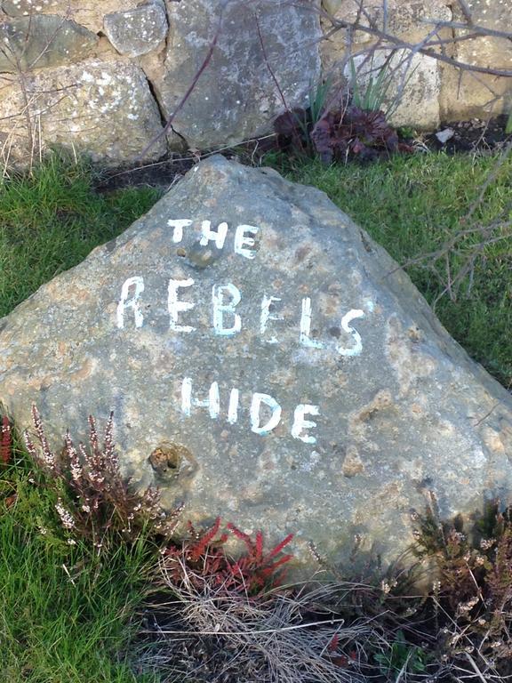 Rebels Hide -Self Check In Rooms Clifton  Exterior foto
